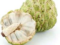 Exploring the Rich History of Sugar&nbsp;Apples